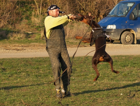 Training in Prague 3/2007